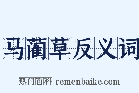 马蔺草反义词是什么意思的图片